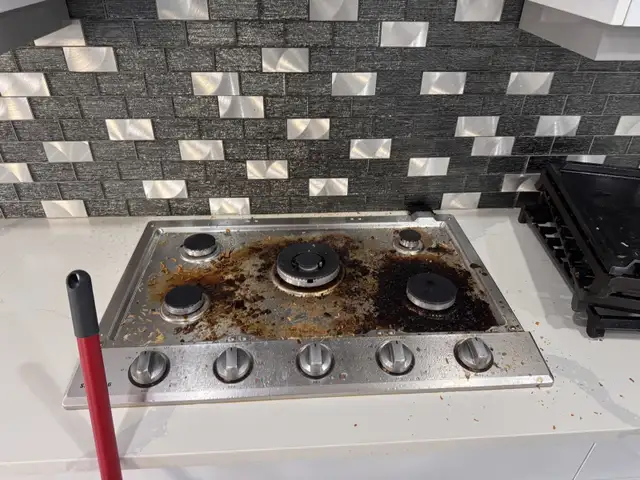 cleaning  64562373877378121