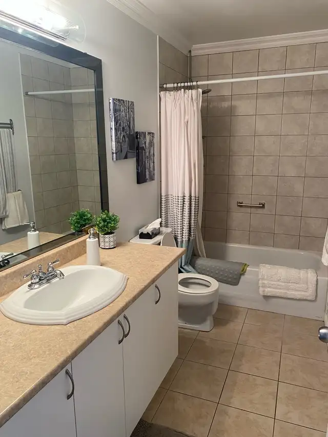 5.5-room apartment for rent