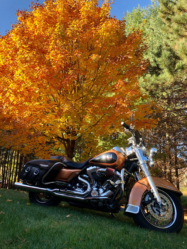 2008 Harley Davidson Road King Classic Anniversary Edition in Street, Cruisers & Choppers in Thunder Bay - Image 4