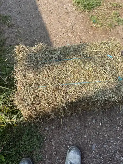 Small square Hay bales, View more