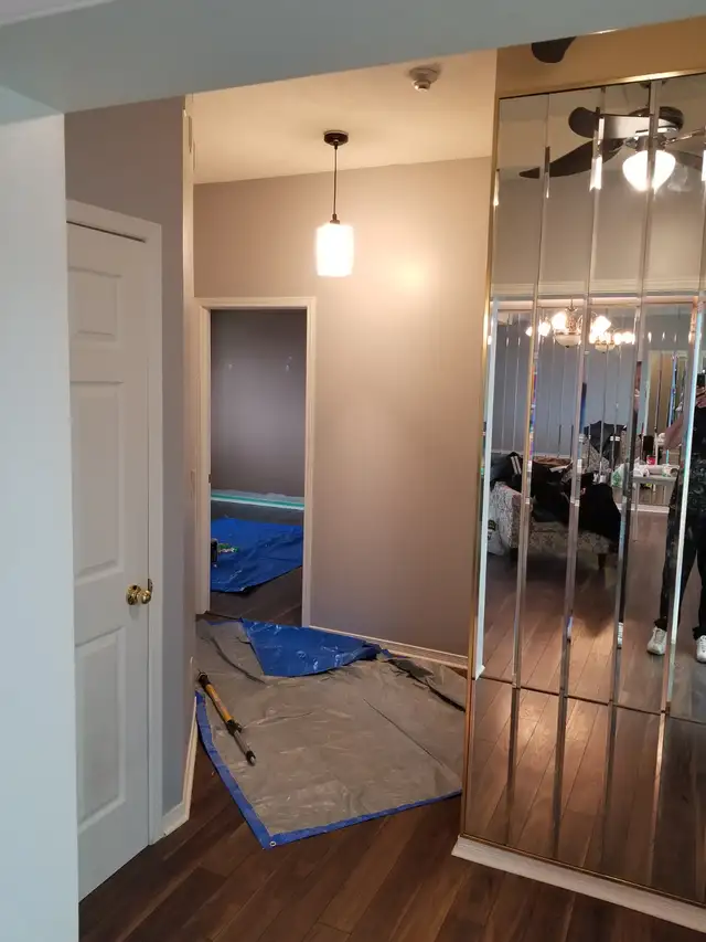 Pauls painting in Painters & Painting in Hamilton - Image 7