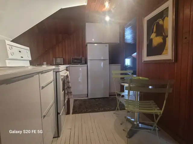 UNIQUE devant les Plaines d'Abraham in Long Term Rentals in Québec City - Image 11