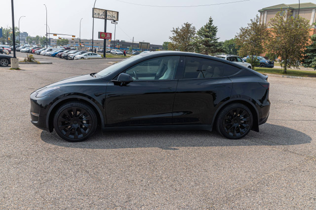 Tesla Model Y in Cars & Trucks in Calgary - Image 4