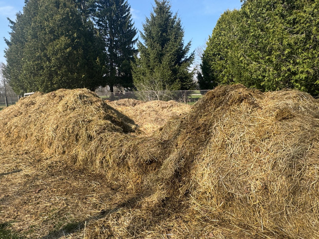 Free Manure mix in Plants, Fertilizer & Soil in London