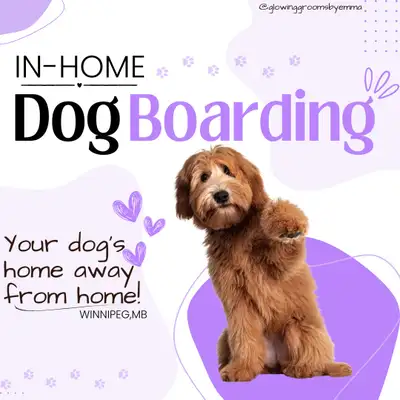In-Home Dog Boarding!, View more