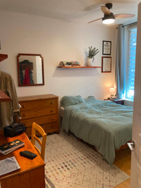 May 1st – June 1st room sublet in spacious plateau apartment