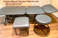 Cardon Manual Therapy Table