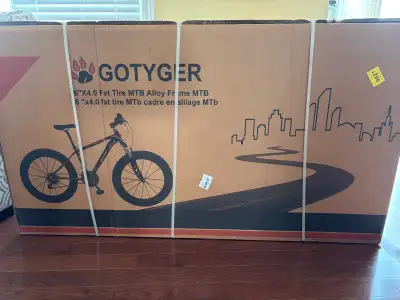 Fat bike BNIB, View more