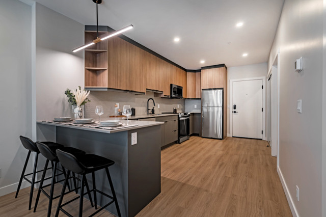 Modern Downtown Apartments For Rent (NEW) in Long Term Rentals in Calgary - Image 3