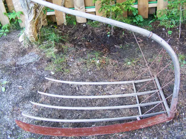 Antique Corn cradle Scythe - Mid 1800's in Arts & Collectibles in Saint John - Image 2