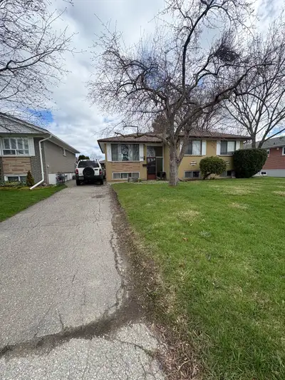 Large bedroom for rent in basement, it’s at the corner of queen and McLaughlin in Brampton. Nofrills...