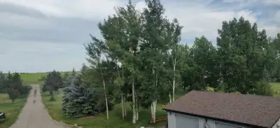 Acreage House For Rent 5 minutes drive from Stony trail south at highway 22X This is a beautiful n q...