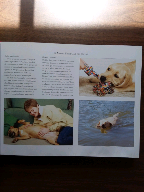 LIVRE L'ESSENTIEL DES CHIENS in Accessories in Lanaudière - Image 6