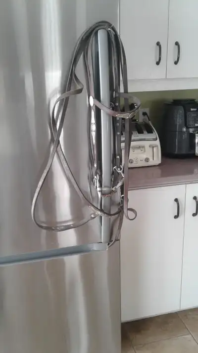 BELLE BRIDE WESTERN POUR CHEVAL, View more