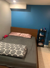 1 BR Fully Furnished Basement from Jun. Heart of Mississauga