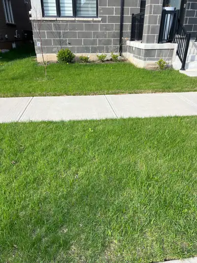 grass cutting and weed control 289-772-7822, View more