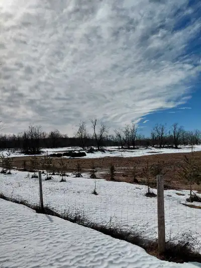 pasture for rent, View more