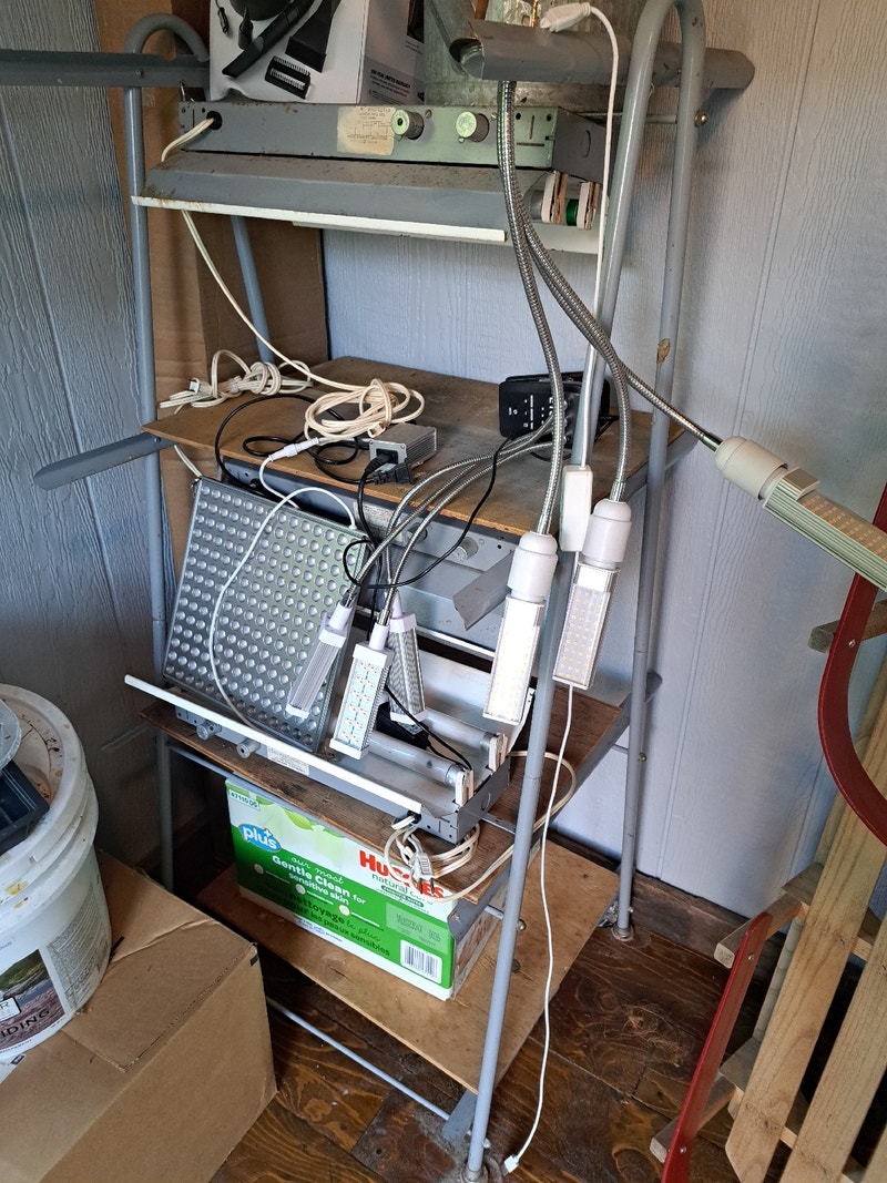 ON HOLD TILL TMRRW Growing lights and lamps Free Stuff Barrie Kijiji