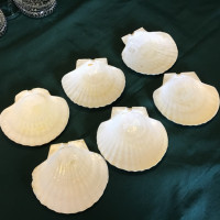 6- Natural Scallop Shells for baking and serving