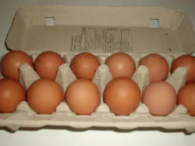 Oeufs bruns de poules heureuses en liberté, View more