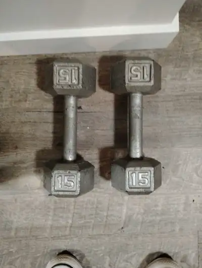 15 lbs Dumbbells , View more
