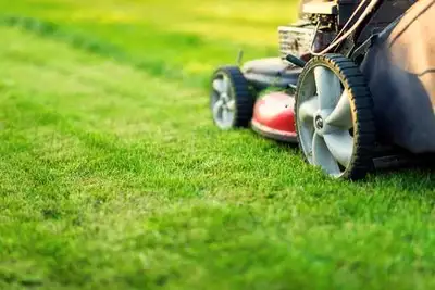 Grass Cutting (Landscape) Service- GTA  647-501-6071, View more