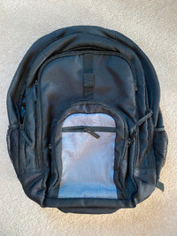 Backpack/Laptop Bag (Large)