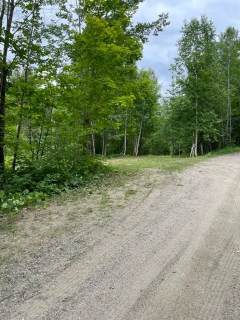 34 Acres - Terrain boisé / Wooded Land in Land for Sale in Gatineau - Image 2
