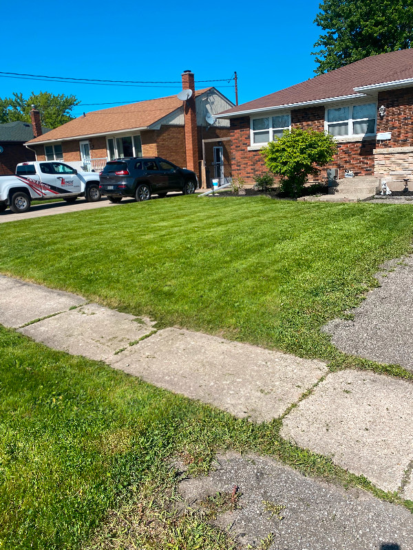 Lawn Cutting, Landscaping, Low Maintenance Gardens, Pruning in Lawn, Tree Maintenance & Eavestrough in St. Catharines - Image 2