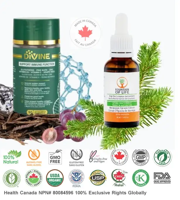 Fountain of Life Supplement64695062472578122