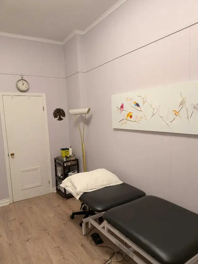 Health clinic room rental in Commercial & Office Space for Rent in City of Toronto - Image 3