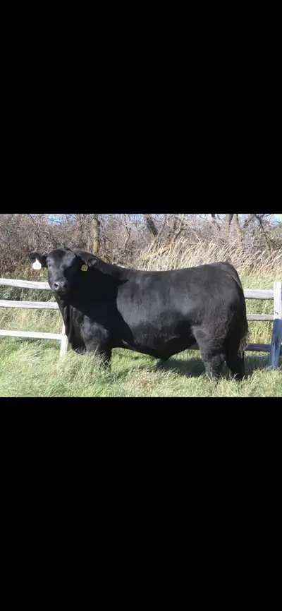 Ranch Hand, View more