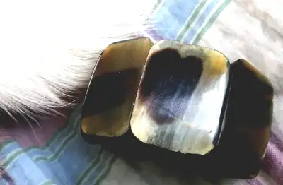 VINTAGE NATURAL BUFFALO HORN TRUNK BRACELET BANGLE, View more