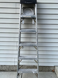 Featherlite Ladder (6 FT)