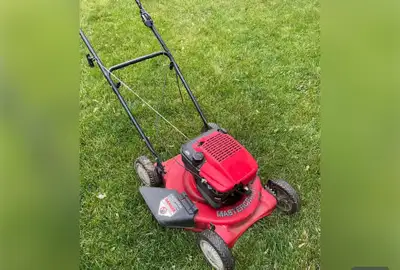 I do small engine repairs to most lawnmowers, generators, outboard motors, snow blowers and chainsaw...