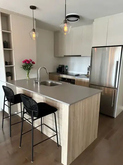 Condo moderne et lumineux à louer à Pointe-St-Charles! Situé dans le quartier recherché de Pointe-St...