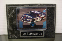 Dale Earnhardt Jr. Upper Deck Card/Plaque