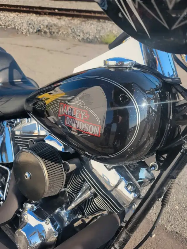 2008 harley davidson softail custom in Street, Cruisers & Choppers in Delta/Surrey/Langley - Image 6