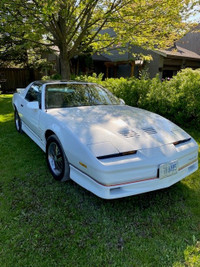 1985 Trans Am