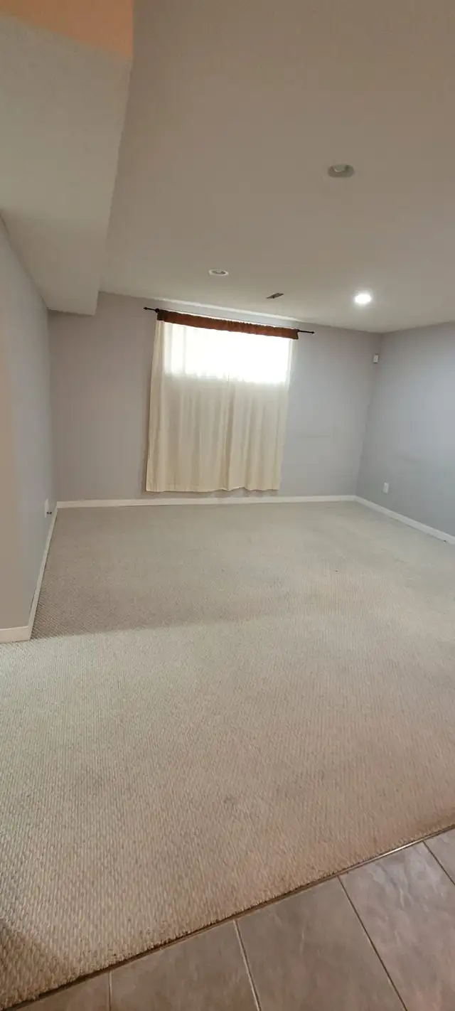 1 Bedroom Basement Suite63384444870145124