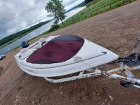 Sting Ray,Scorpion 150 Evinrude,Fully Loaded,Fish finder $12,500
