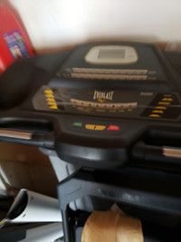 Everlast Treadmill