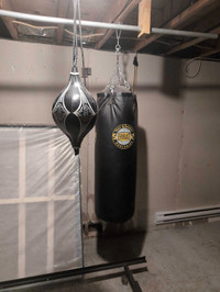 Double-Ended punching bag and heavy bag