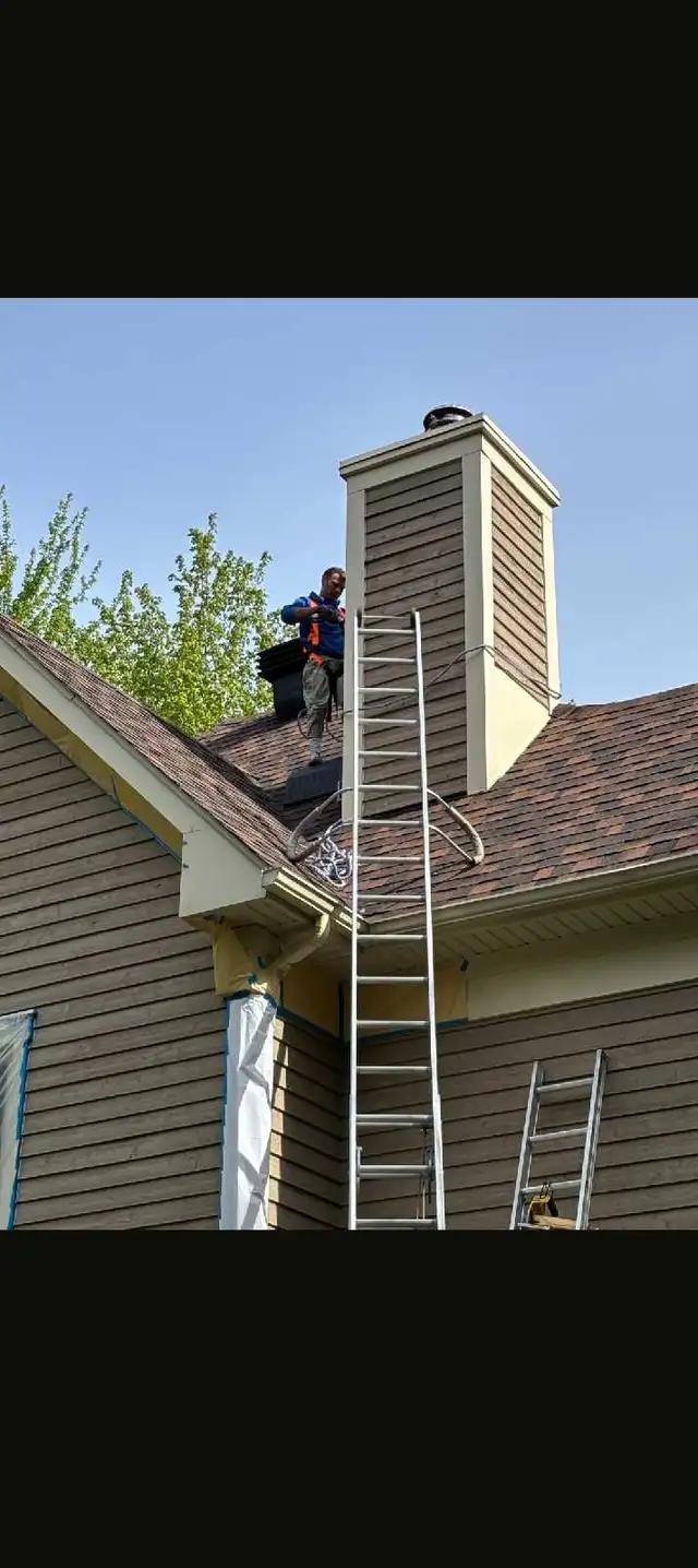 Professional Painter502201370427402247