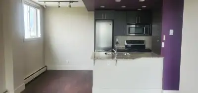 Quiet one-bedroom condo 10 minute walk from Sait