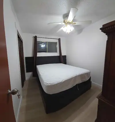 Room available for rent