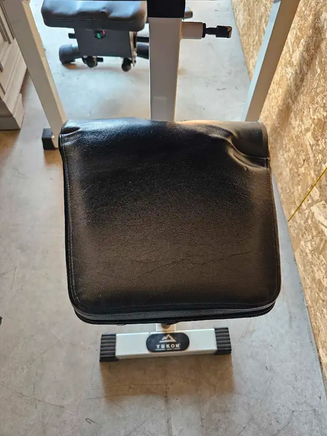 preacher curl bench62863277295618121
