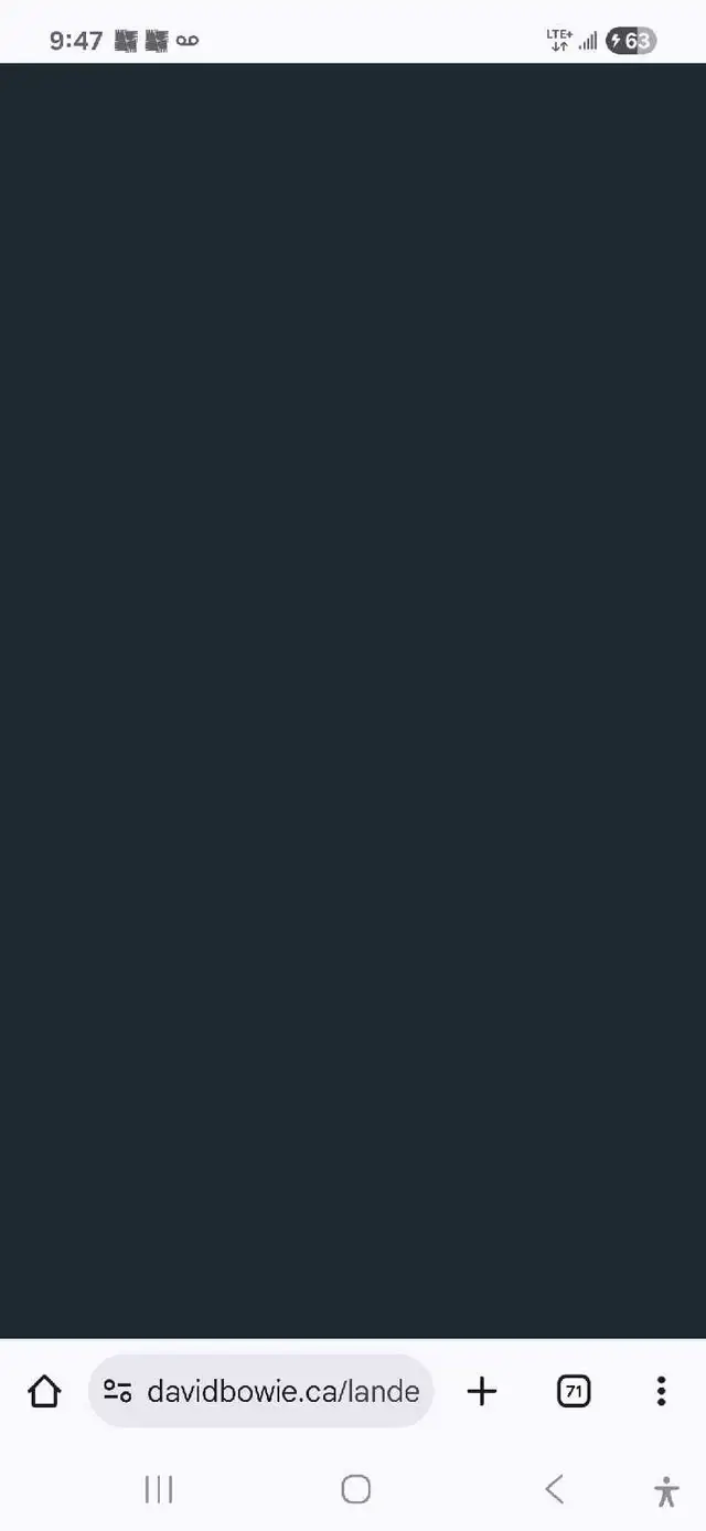 David Bowie.ca Web Domain For Sale in Networking in City of Toronto - Image 2