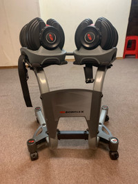 Bowflex adjustable weights with stand  