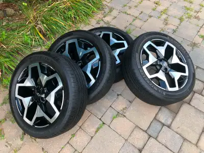 Hyundai Santa Cruze, Hyundai Palisade NEW 245/50R20 Michelin Primacy LTX all season tires on Hyundai...